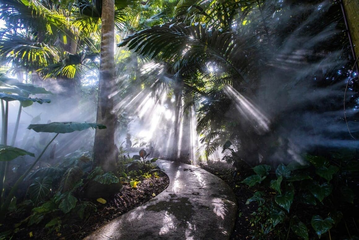 Richard H. Simons Rainforest - Fairchild Garden