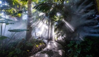 Richard H. Simons Rainforest - Fairchild Garden