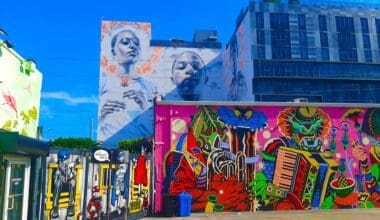 The Pulsating Palette: Wynwood Walls' Vibrant Art Scene Showcased Through its Murals