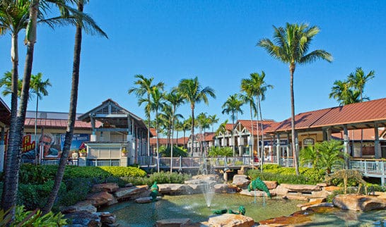 The Falls Mall