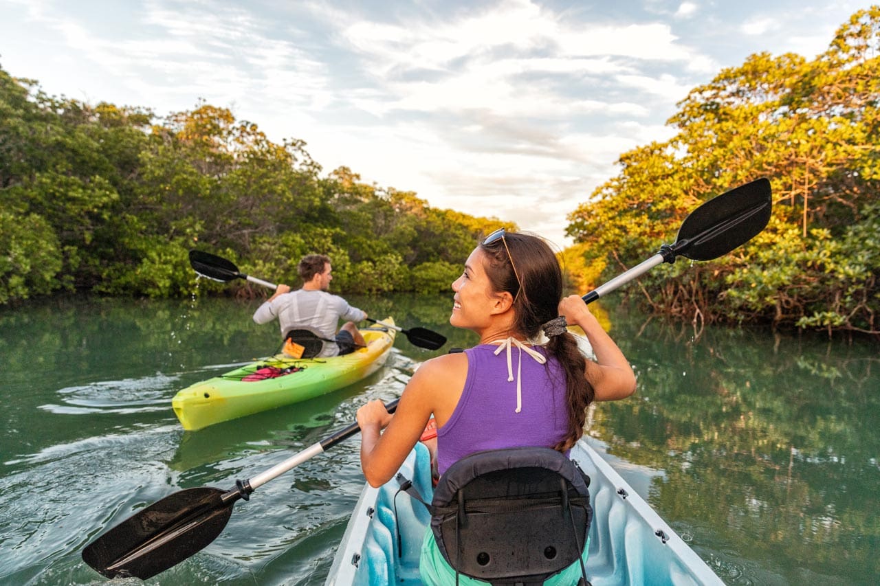 Everglades Mangroves